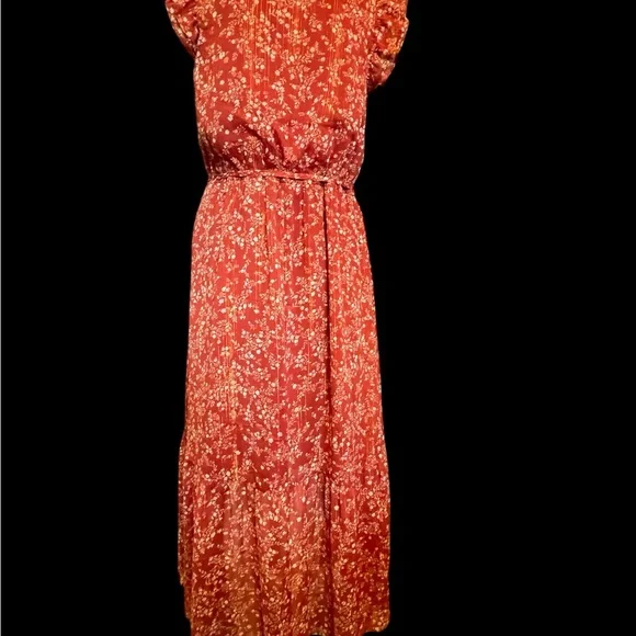 Ann Taylor Womens 8 Shimmer Floral Flutter Cottage Boho Midi Dress - Picture 13 of 15